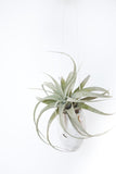 Hanging Facet Ceramic Vessel